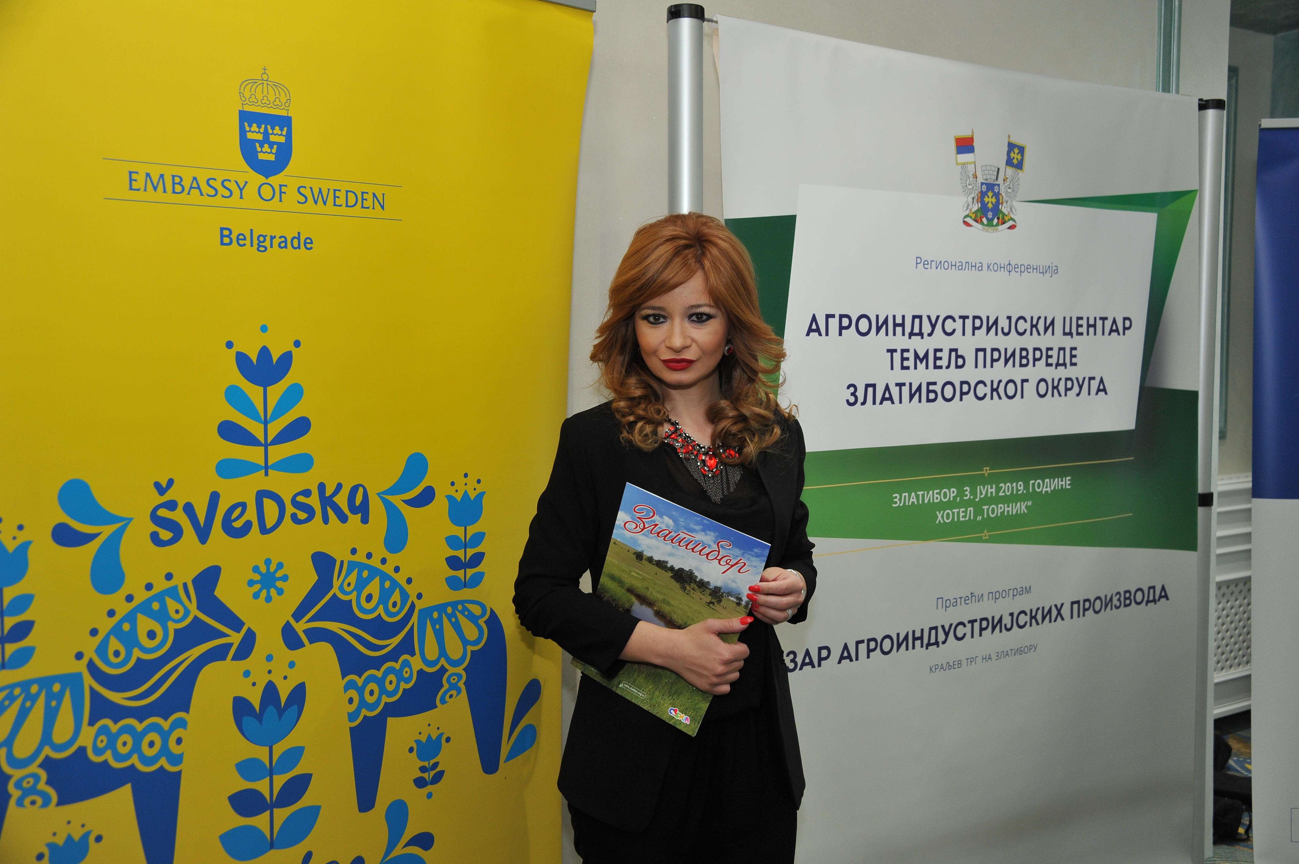 Regionalna konferencija, Zlatibor
